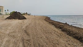 Posidonia amontonada en un lateral de la playa de Les Marines para que suelte la arena.