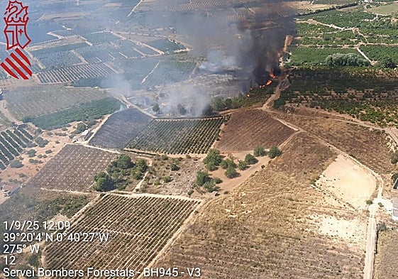Zona afectada por el incendio de Montroy.
