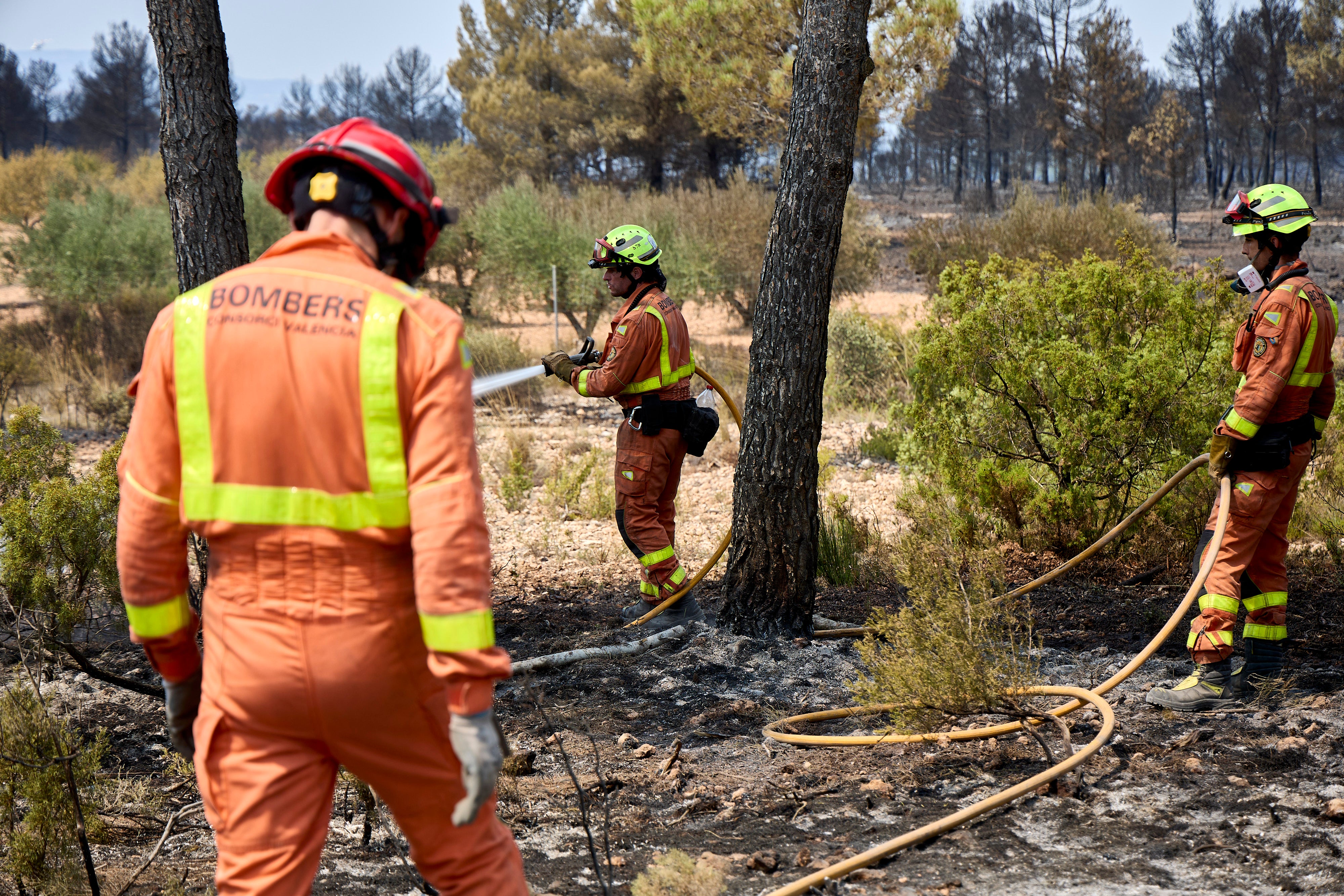 Incendio en Teresa de Cofrentes.