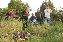 Varios 'colombaires' supervisan de cerca y con atención a un grupo de palomos de competición.