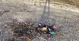 Restos de la hoguera hallada en la Sierra Mariola.