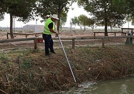 Un operario limpia en una de las riberas del puerto de Catarroja.
