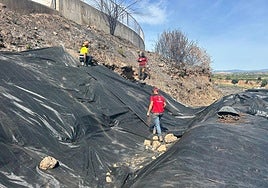 Colocación de la malla geotextil este martes.