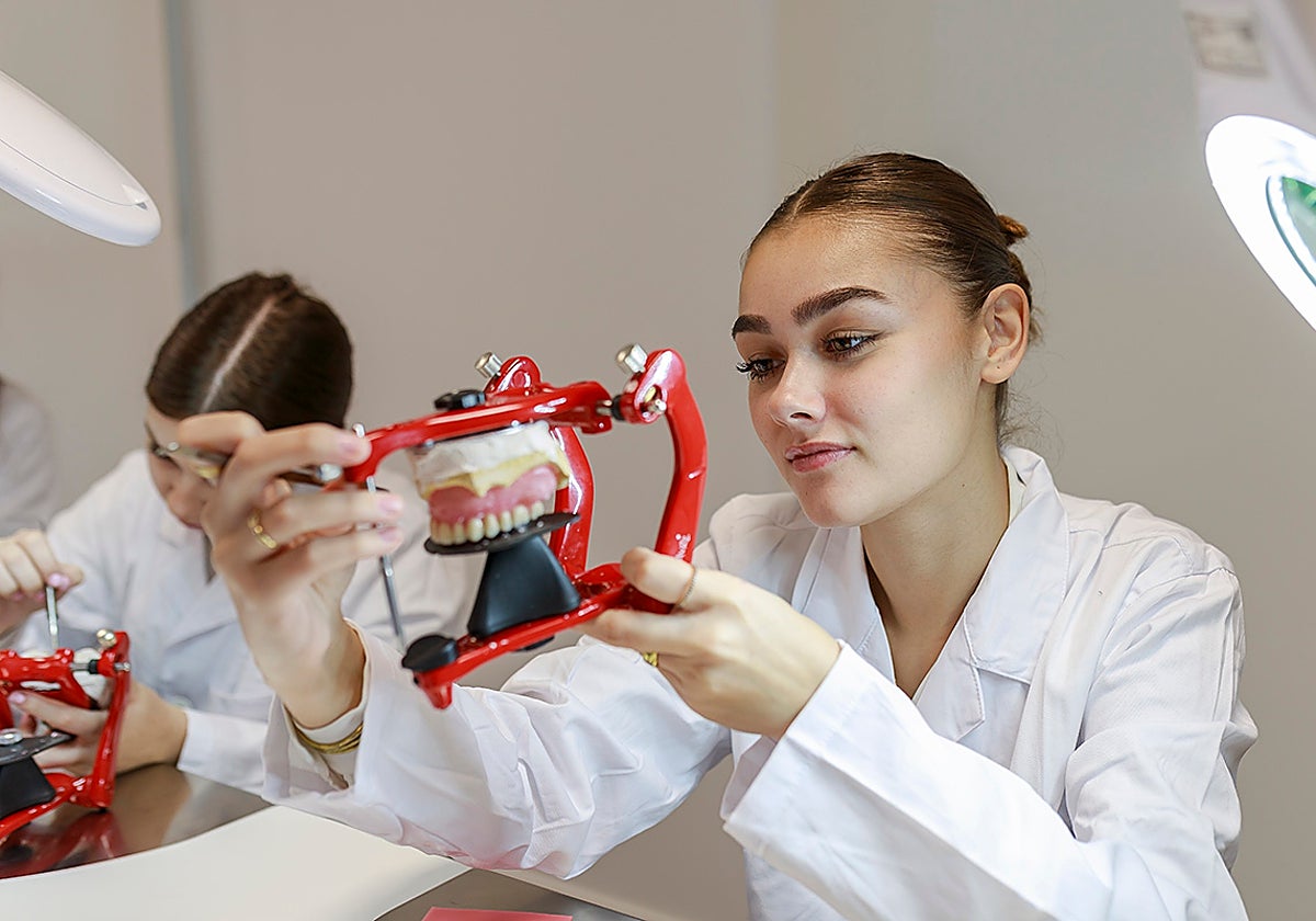 Estudiantes de Formación Profesional.