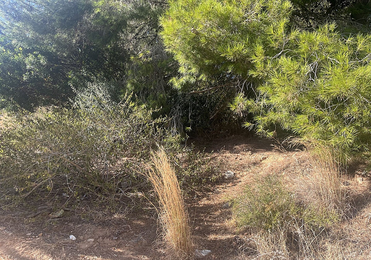 Detalle de uno de los puntos del pequeño recorrido cerca del Bahía Park, Cullera.