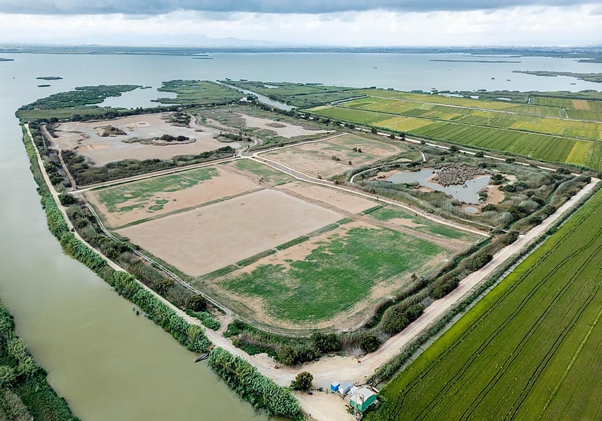 El tancat de la Pipa de la Albufera, seco más de diez meses después de la dana.