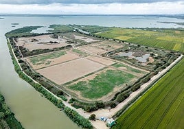 El tancat de la Pipa de la Albufera, seco más de diez meses después de la dana.