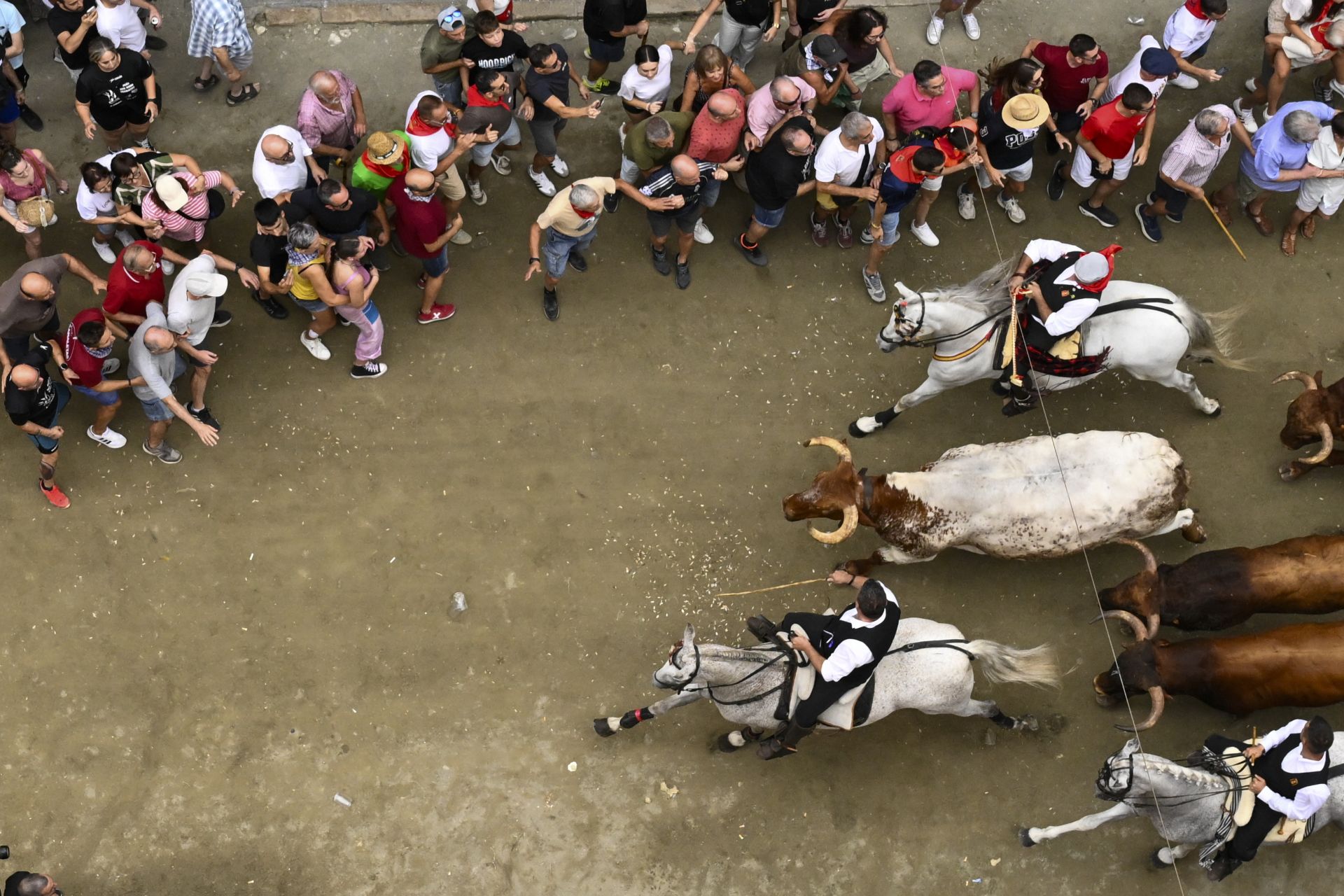 Fotos de la Entrada de Toros de Segorbe