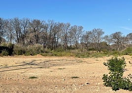 Zona de la Devesa, ya sin la Venta de Toros.