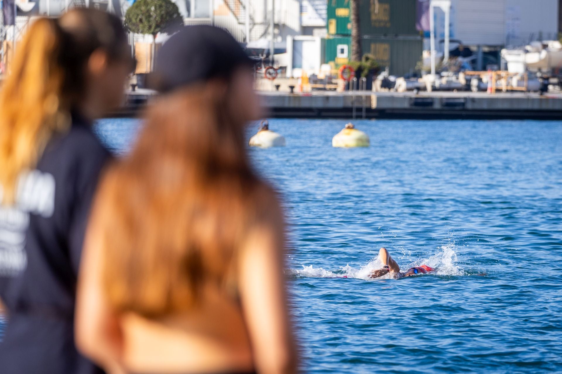 Búscate en la Travesía a nado del Puerto de Valencia de este sábado