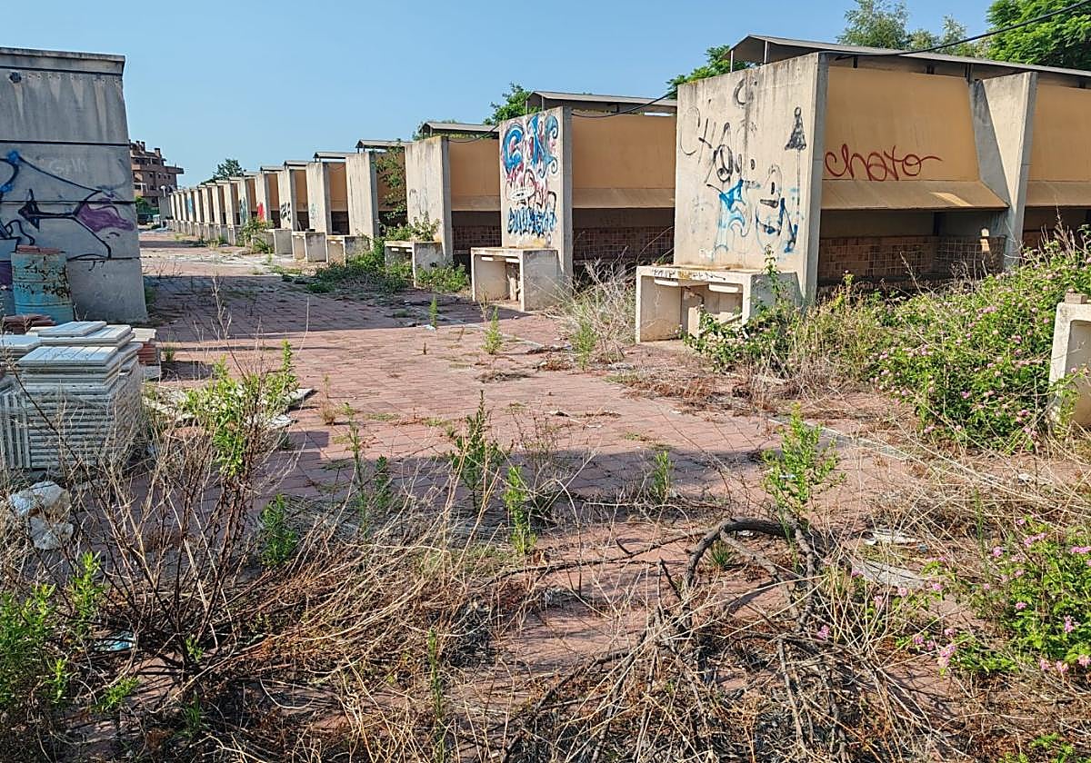 Actual estado de Instituto de la Paella.