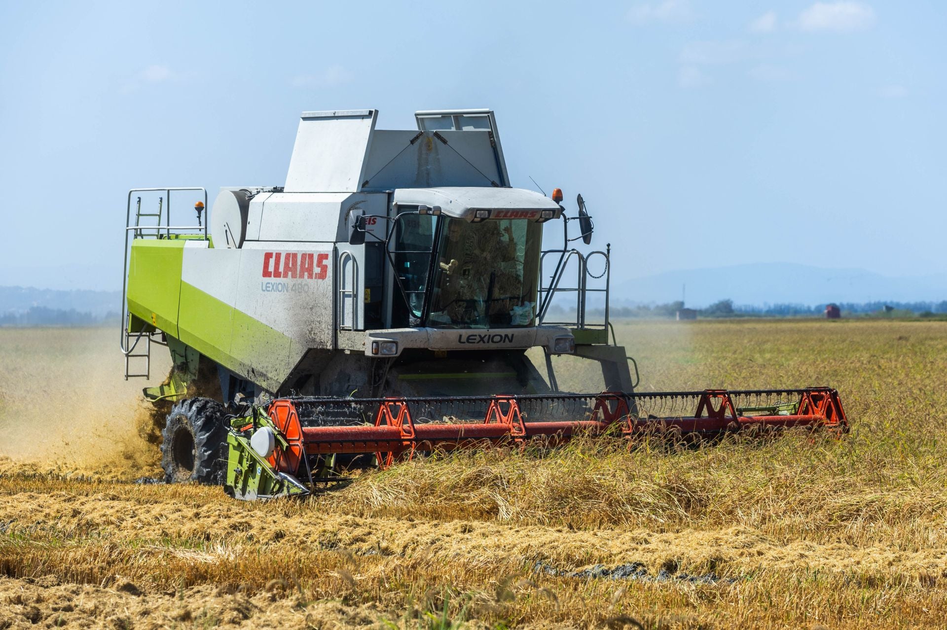 FOTOS | La cosecha del arroz en la Albufera