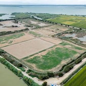 El tancat de la Pipa de la Albufera, seco más de diez meses después de la dana.