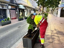 Jardineras donde se han producido los robos.