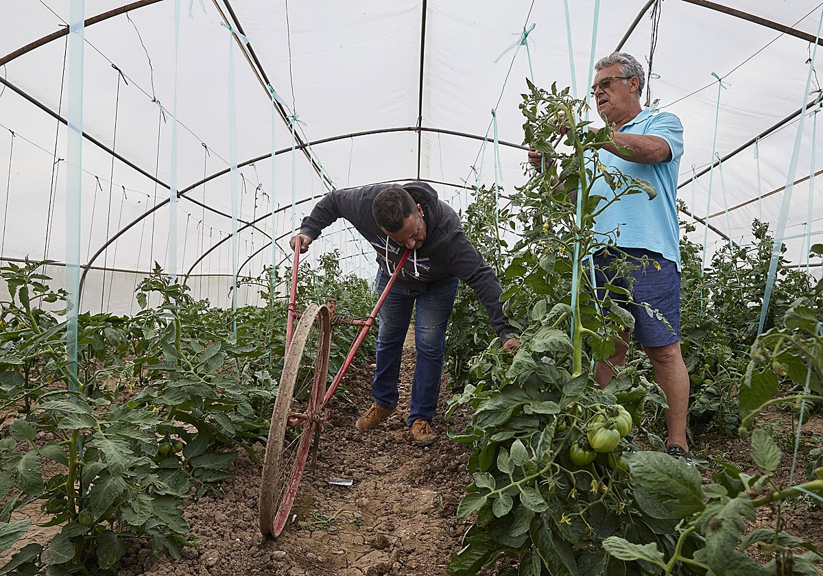 No habrá PAC para los jubilados
