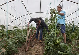 No habrá PAC para los jubilados