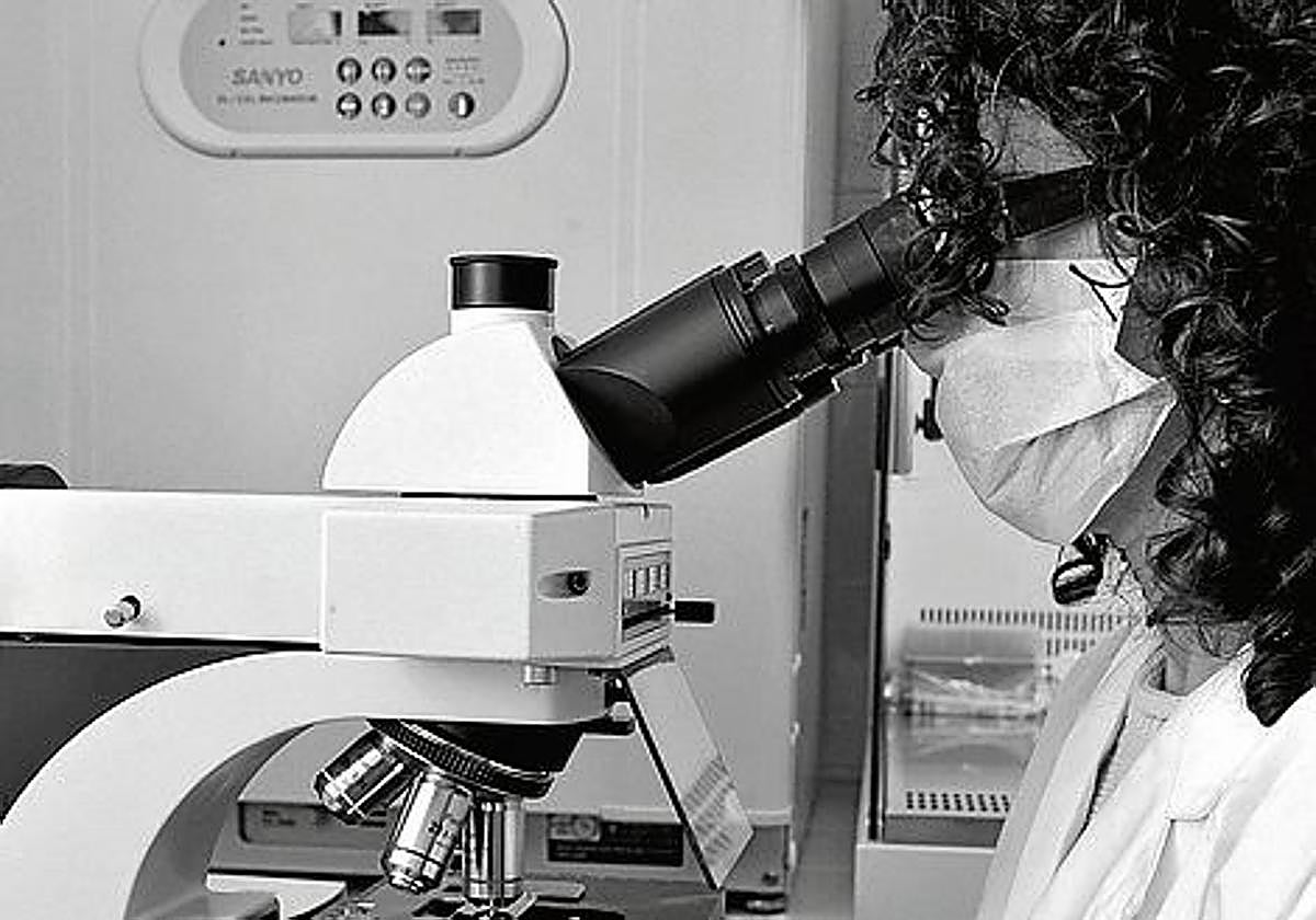 Observar para actuar