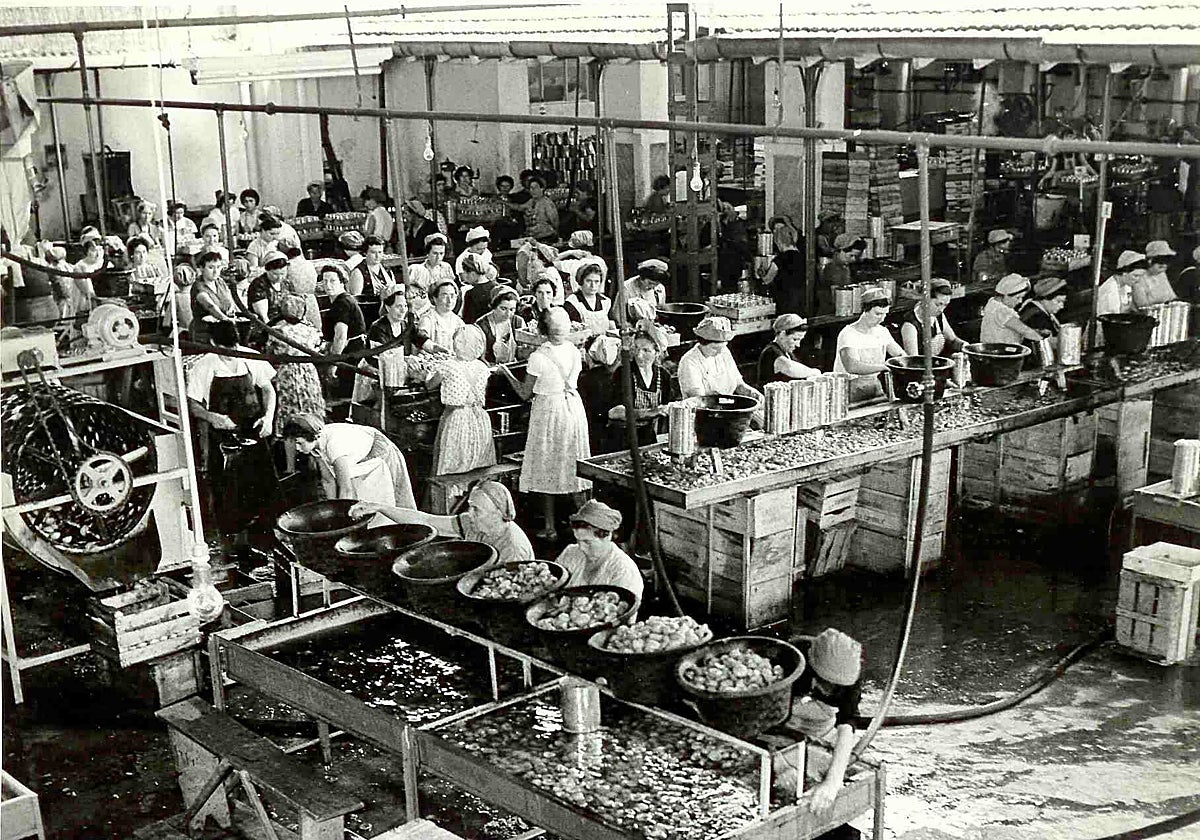 Una antigua empresa de selección y limpieza de fruta para conserva.