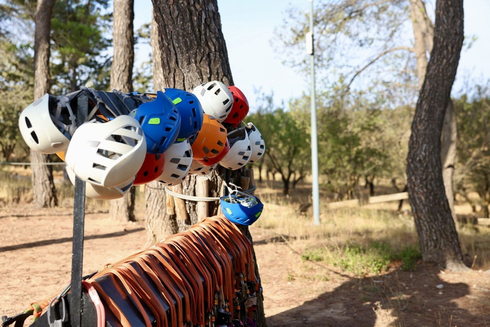 FOTOS | Las candidatas a fallera mayor infantil de Valencia se van de convivencia a Calvestra