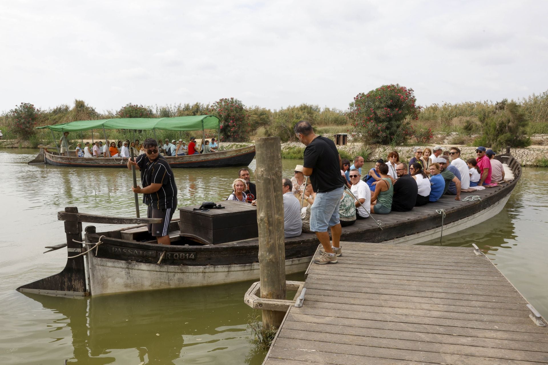FOTOS | Catarroja celebra la fiesta de la siega del arroz 2025