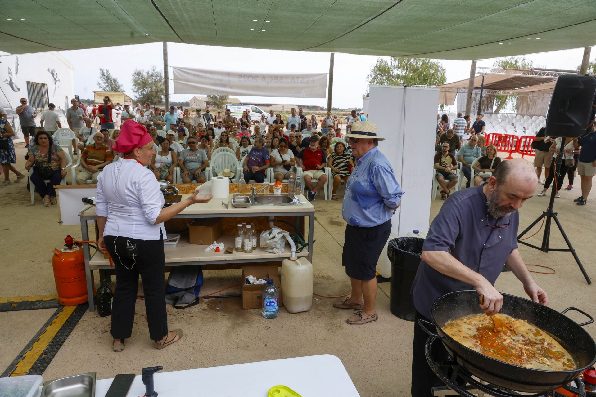 FOTOS | Catarroja celebra la fiesta de la siega del arroz 2025