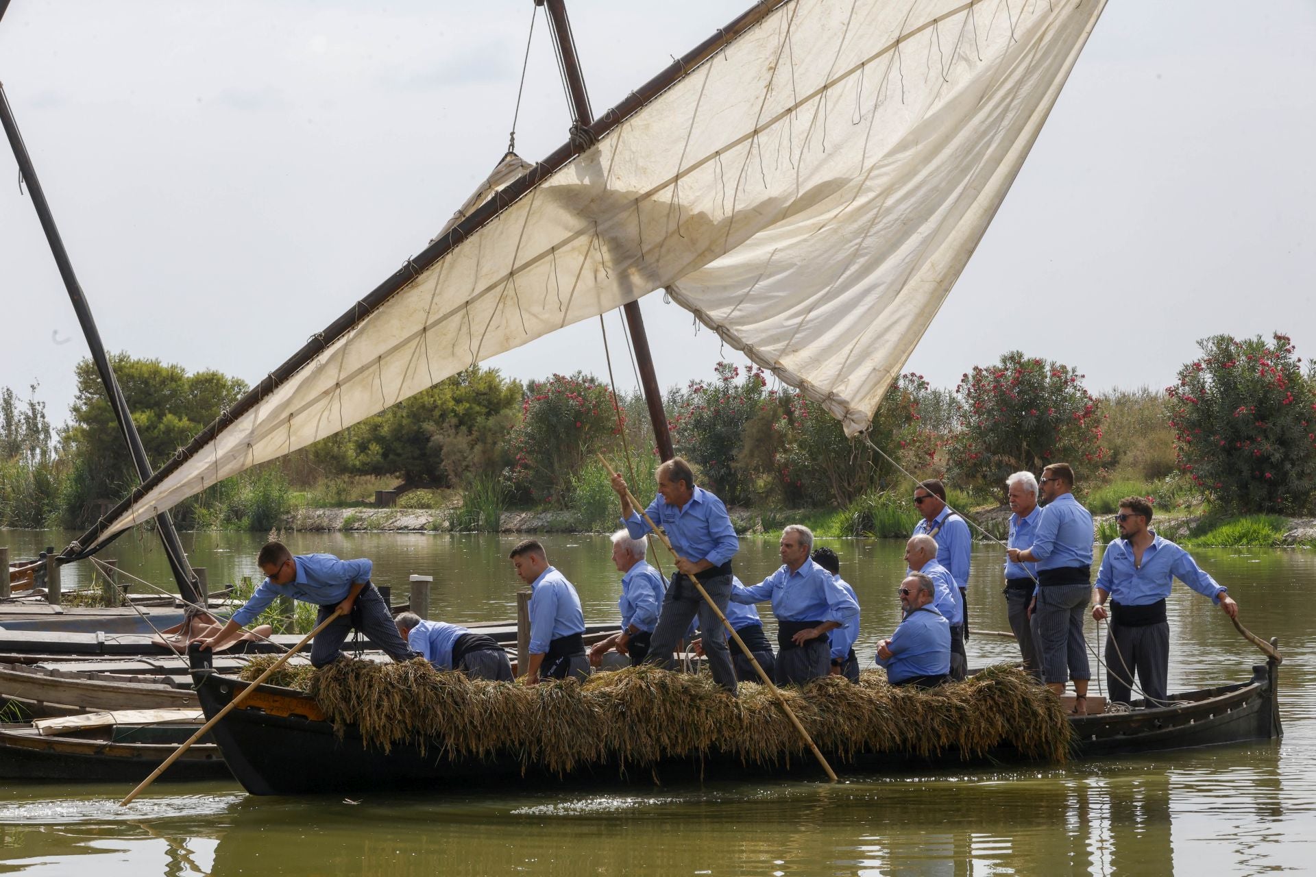 FOTOS | Catarroja celebra la fiesta de la siega del arroz 2025