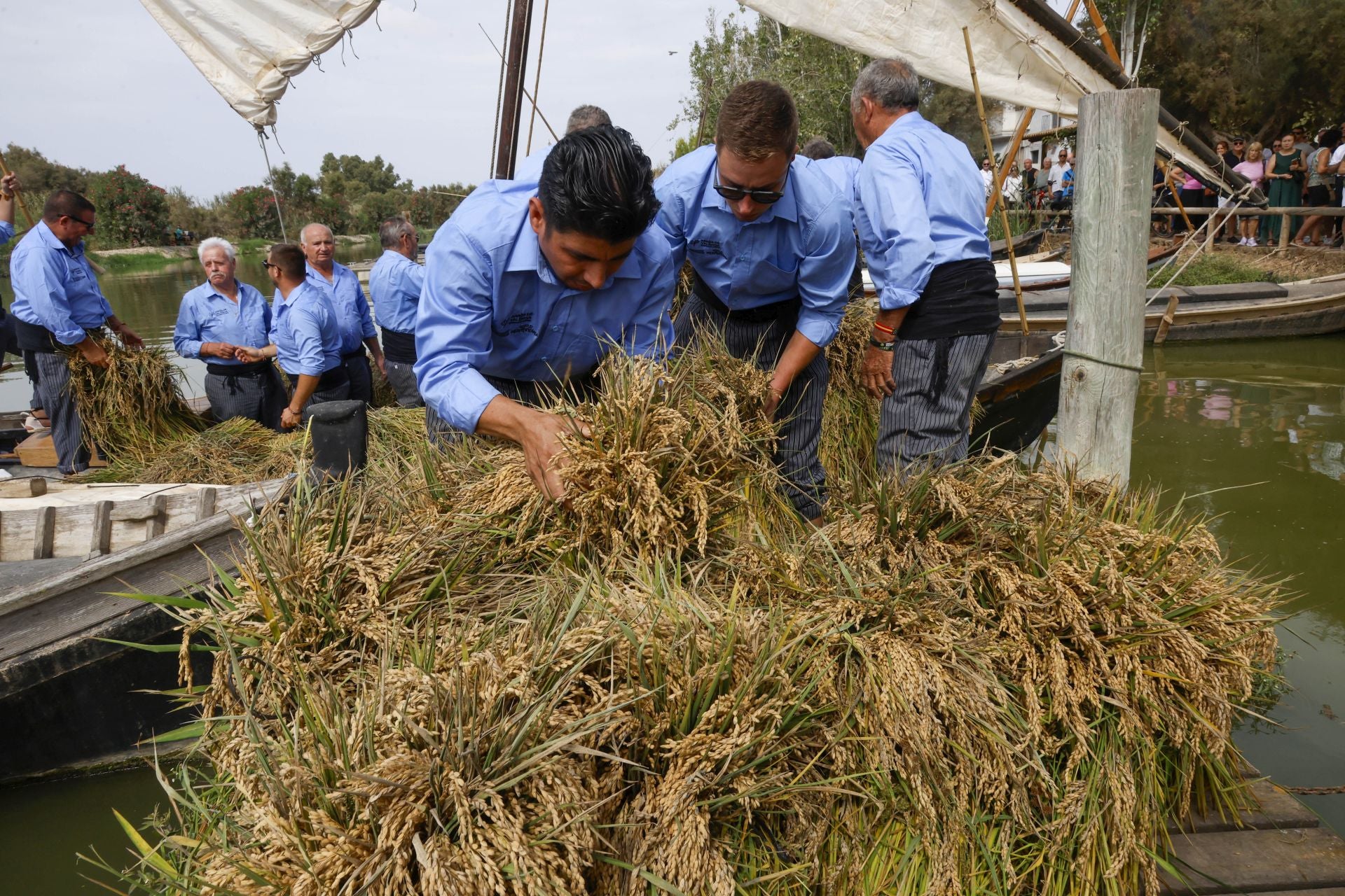 FOTOS | Catarroja celebra la fiesta de la siega del arroz 2025