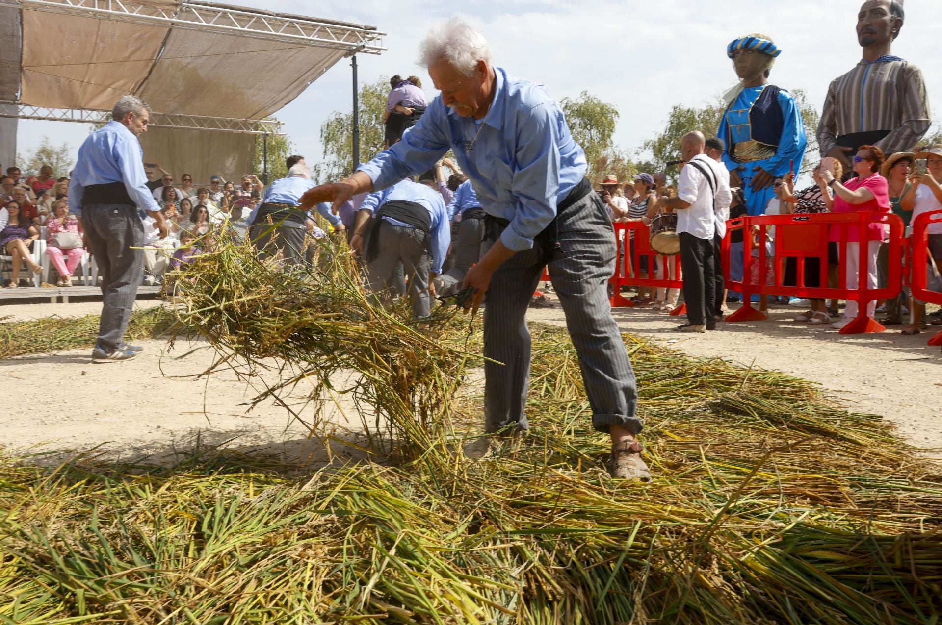FOTOS | Catarroja celebra la fiesta de la siega del arroz 2025