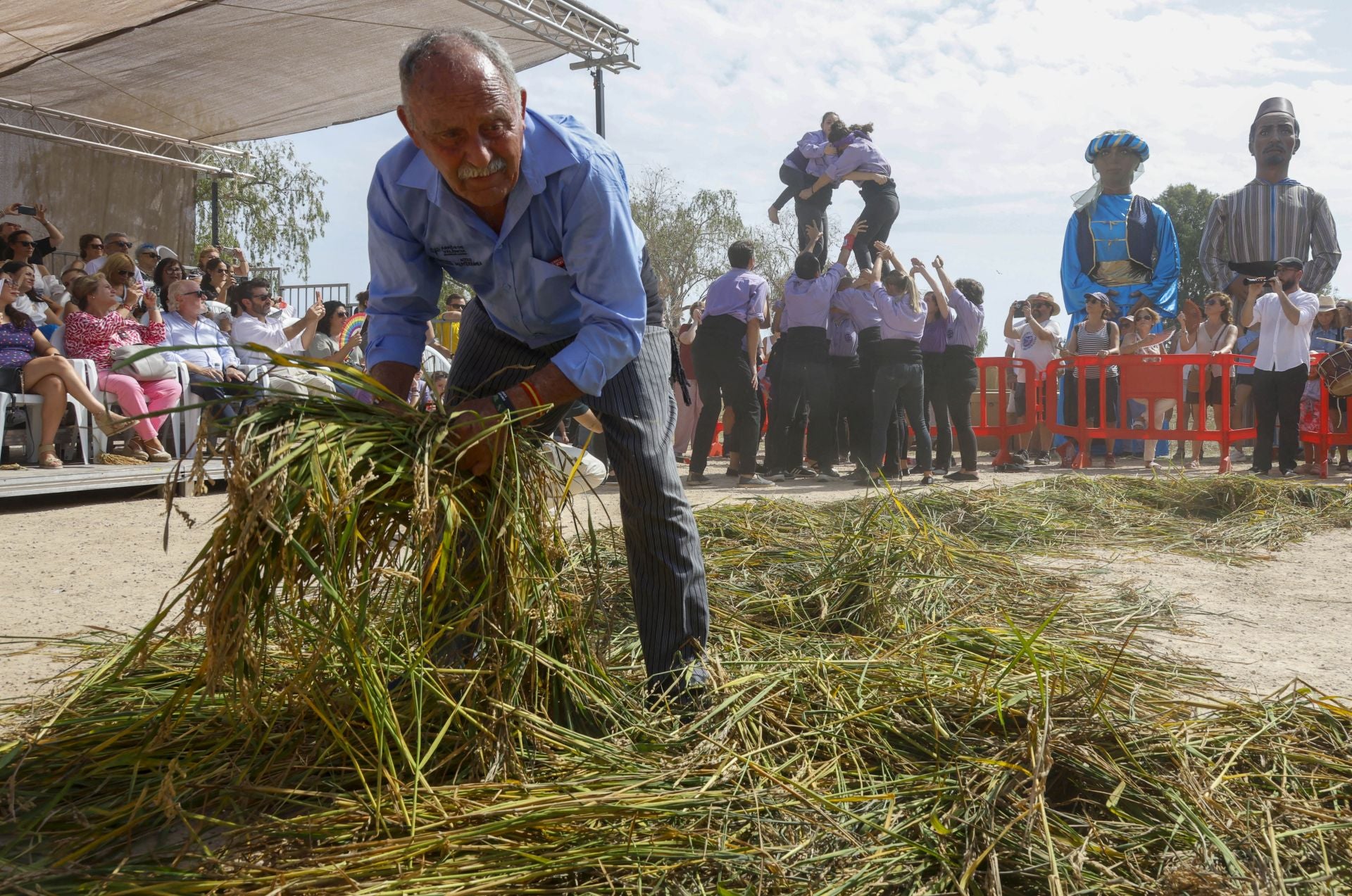 FOTOS | Catarroja celebra la fiesta de la siega del arroz 2025