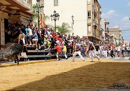 Festejos taurinos en la localidad.