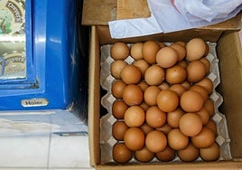 Huevos de gallina, en imagen de archivo.