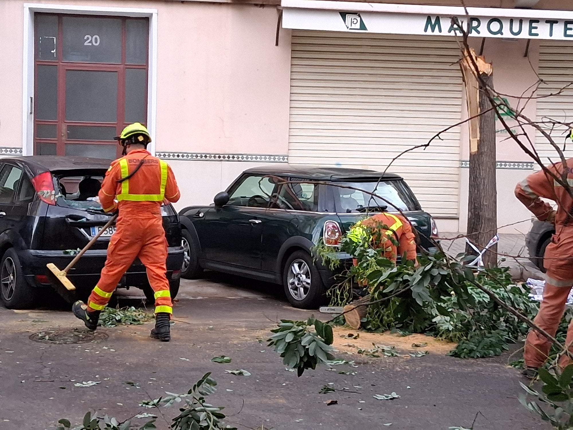 Varios vehículos afectados en una calle de Xàtiva por la caída de un árbol.