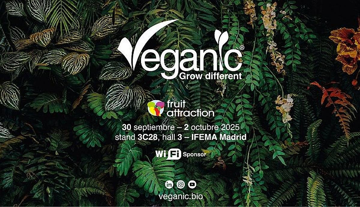Veganic acelera su expansión global y presentará sus innovaciones en Fruit Attraction 2025