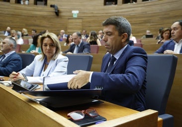 Cambiar el nombre de la AVL requeriría reformar el Estatuto con mayoría cualificada, que la apruebe las Cortes Generales y un referéndum