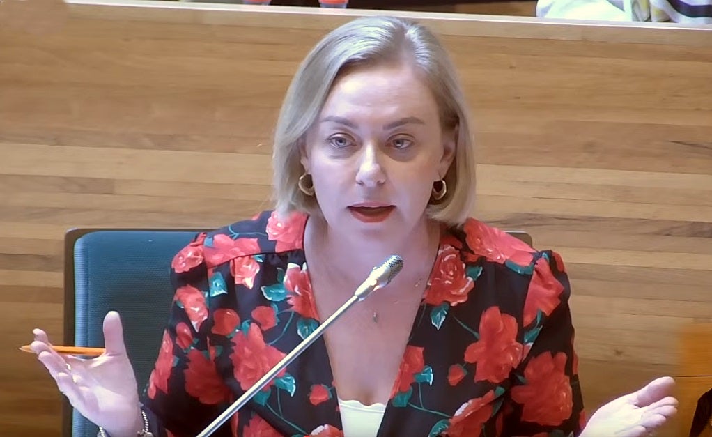 Natàlia Enguix en su intervención en la Diputación.