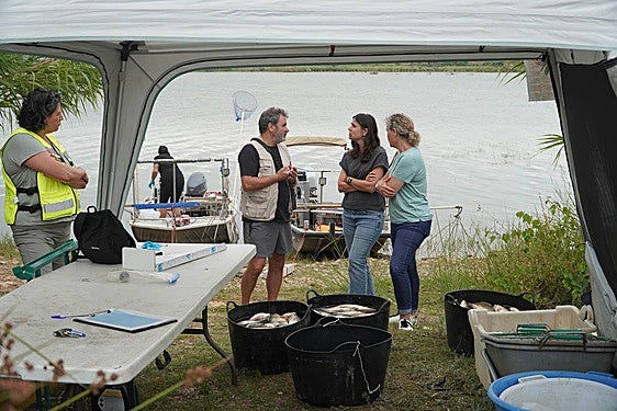 Pesca selectiva en el pantano de Bellús para retirar el exceso de masa piscícola.
