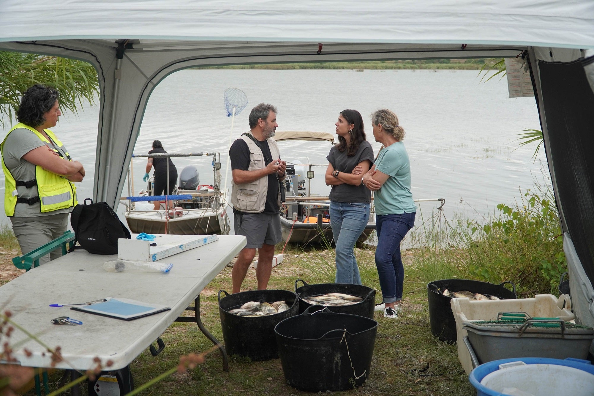 Pesca selectiva en el pantano de Bellús para retirar el exceso de masa piscícola.