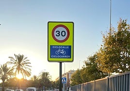 Aspecto de la nueva arteria.