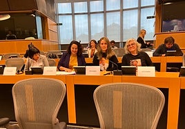 Representantes de las asociaciones de víctimas de la dana el Parlamento Europeo.