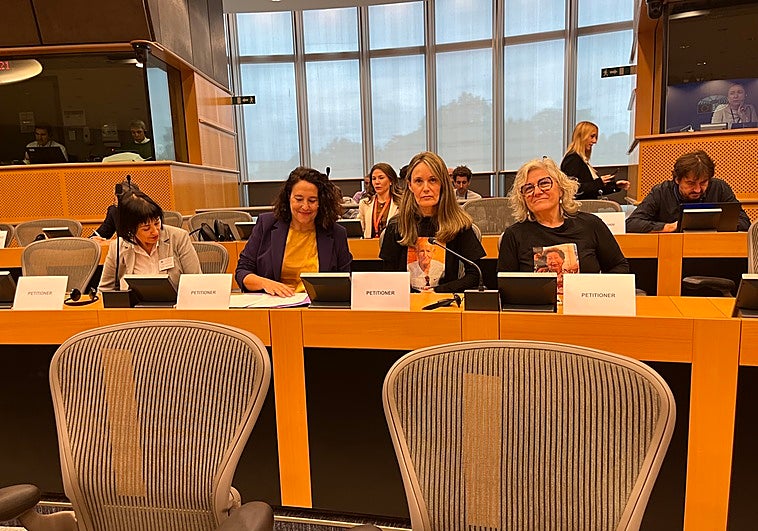 Representantes de las asociaciones de víctimas de la dana este jueves en el Parlamento Europeo.