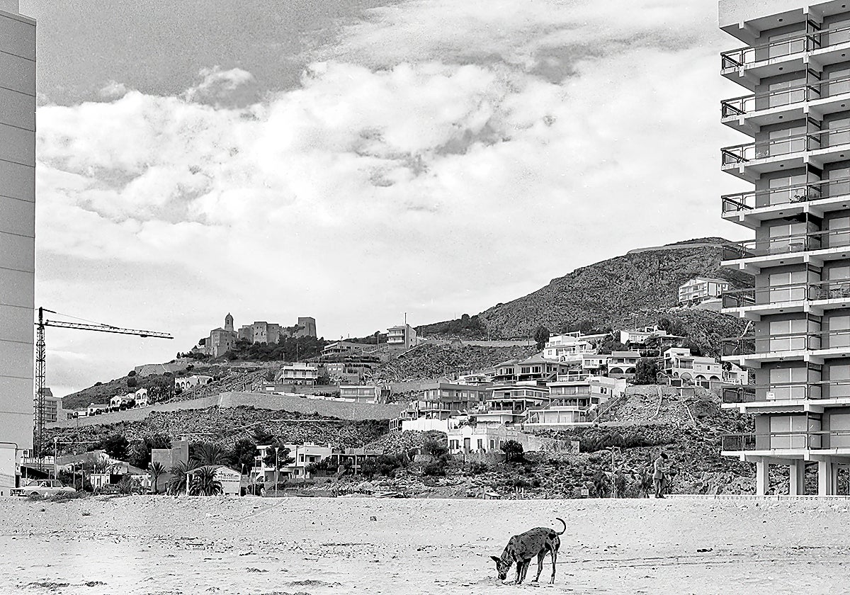 Una de las imágenes de la exposición.