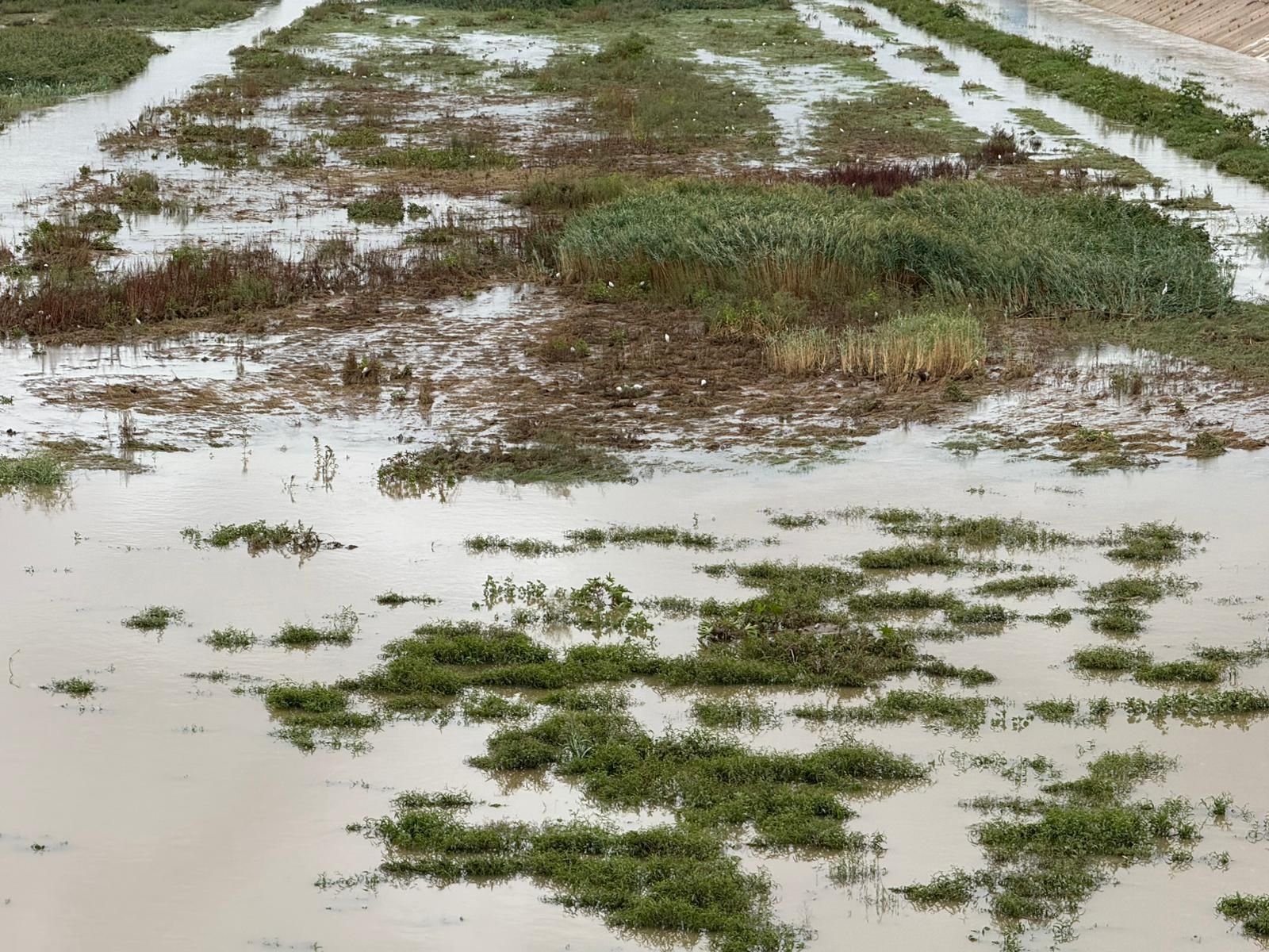 El agua vuelve al nuevo cauce del Túria a su paso por la V-30