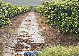 Campos encharcados tras una jornada de lluvias intensas.