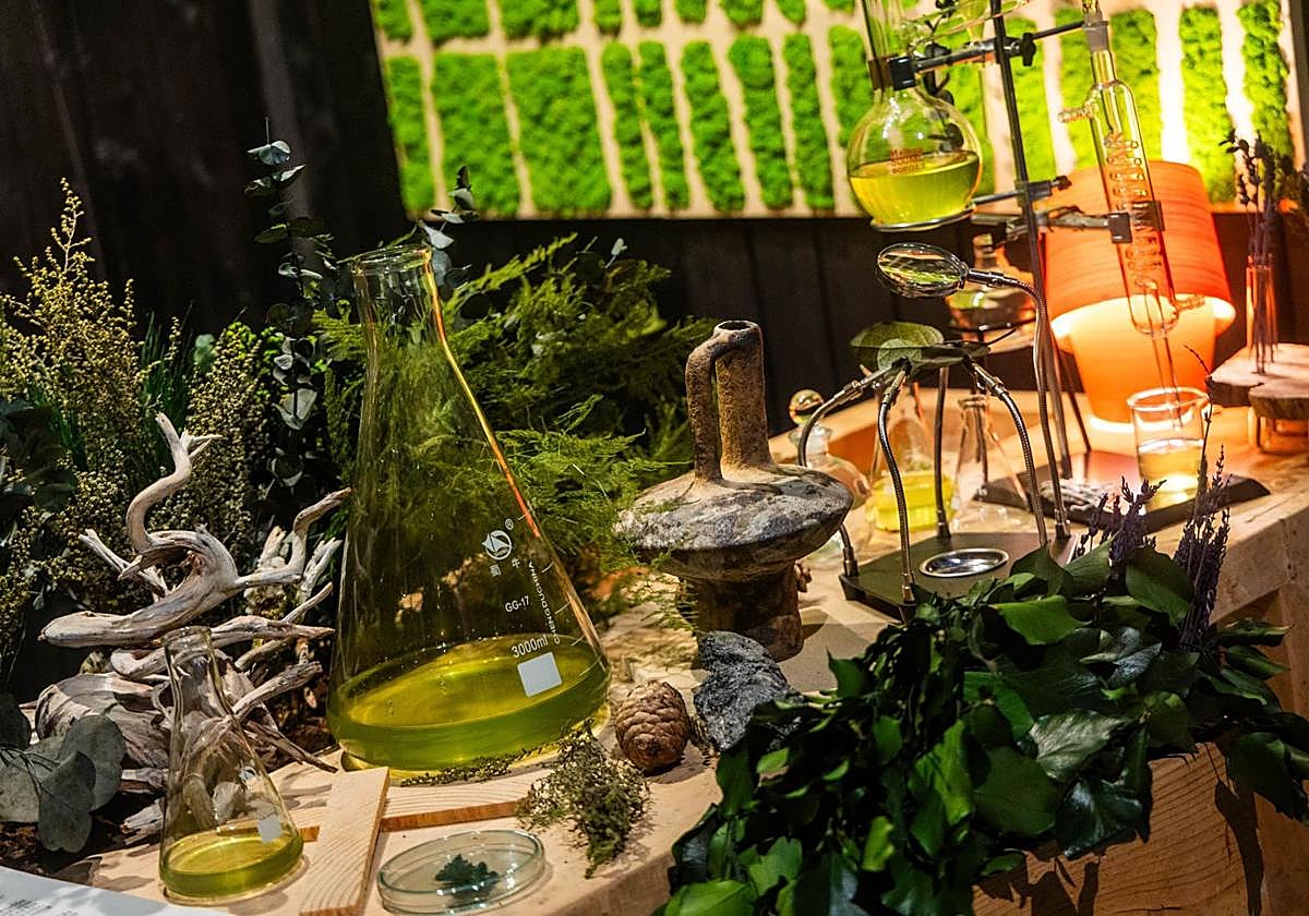 FOTOS | El Museo de Bellas Artes de València presenta «Noche en el Museo 2025»