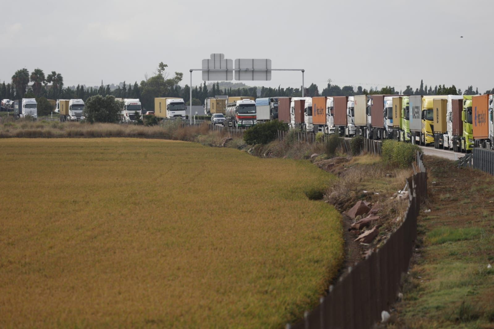 Avalancha de camiones para descargar contenedores en el puerto tras el cierre de la estiba por la alerta roja