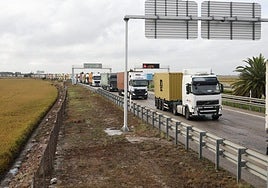 Avalancha de camiones para descargar contenedores en el puerto tras el cierre de la estiba por la alerta roja