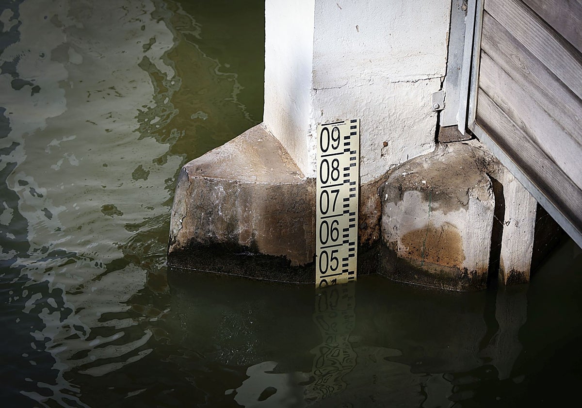 Imagen principal - Lago de la Albufera y el concejal de Devesa-Albufera, José Gosálbez, en la visita a las compuertas de las golas.