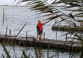 Aumenta el nivel de agua en La Albufera y campos de arroz anegados tras las lluvias