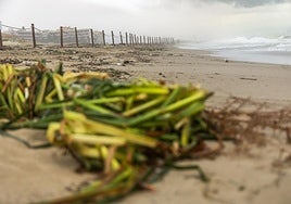 Así ha afectado el temporal a las playas valencianas