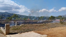 La parcela que se ha quemado en el Camí La Sabatera.